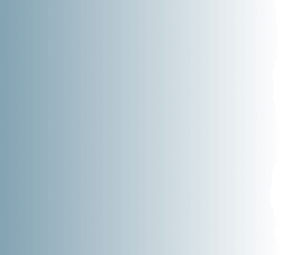 Vector-3 (1)